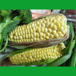 mercado completo